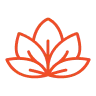 Holistic approach icon